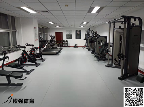 济南某集团采购的多多28提供的健身器材